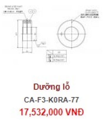 Dưỡng Lỗ 